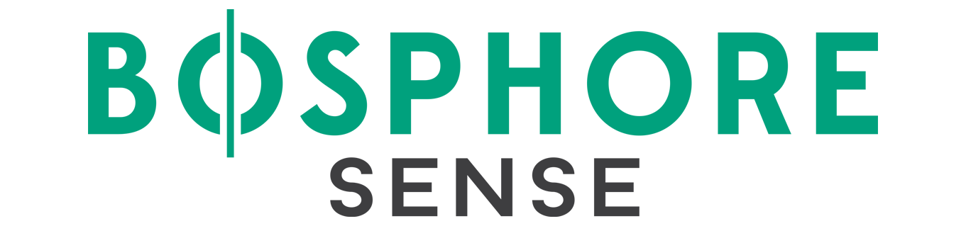 Logo agence Bosphore